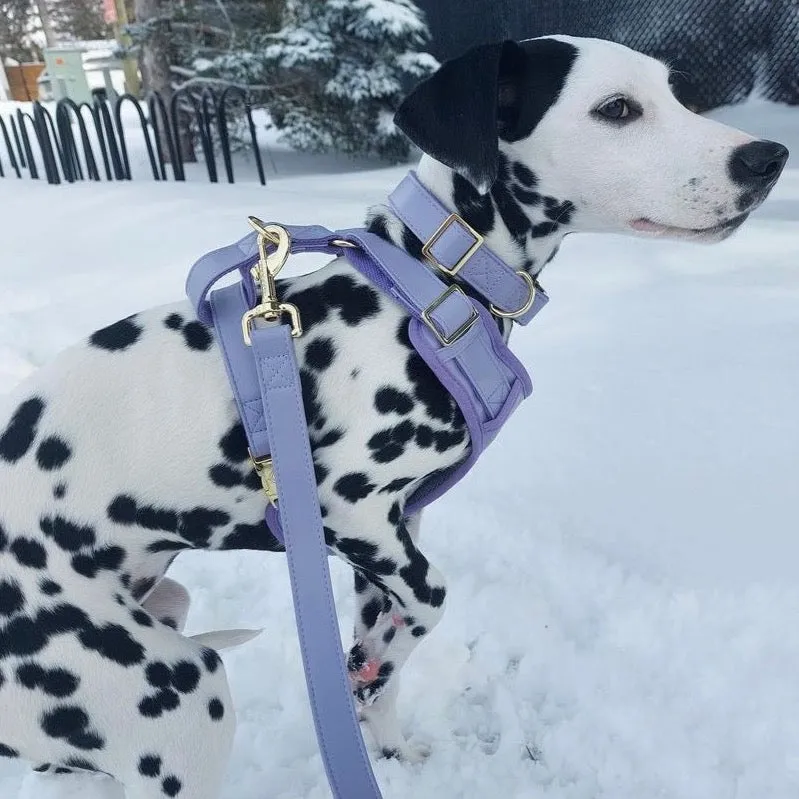 Purple Lilac Leash & Harness Set