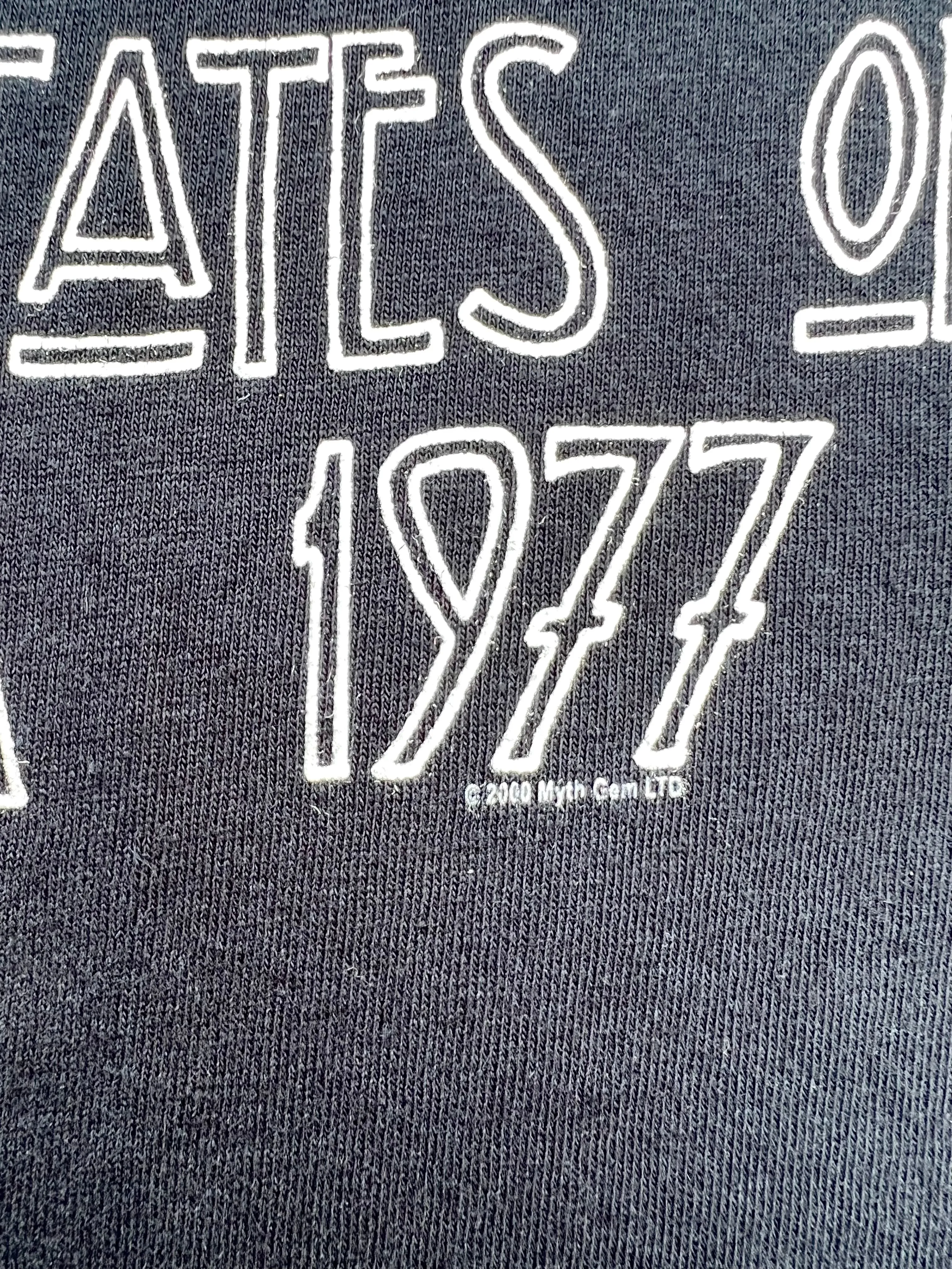 Vintage 2000 Led Zeppelin Band Tee (S)